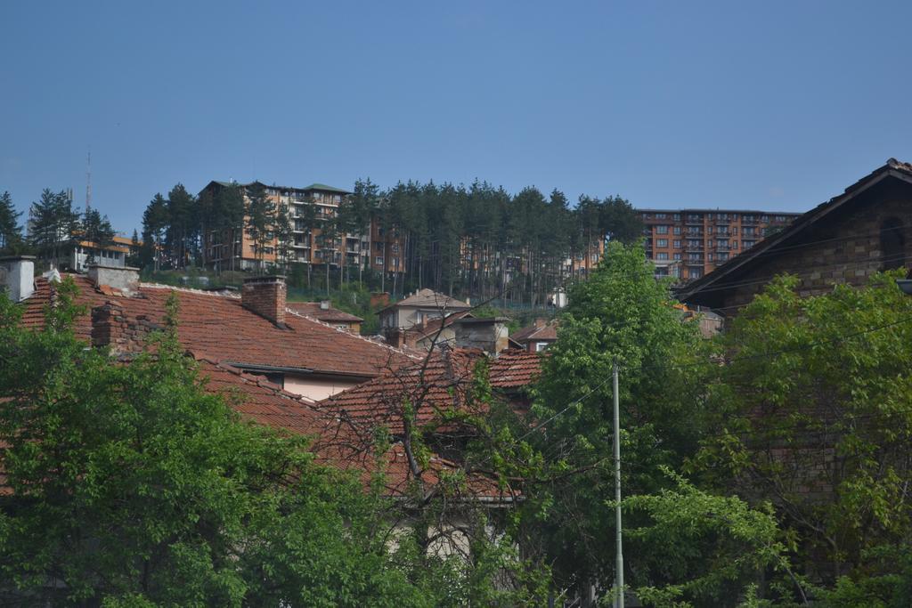 Apartments Ivadoni Velingrad Luaran gambar